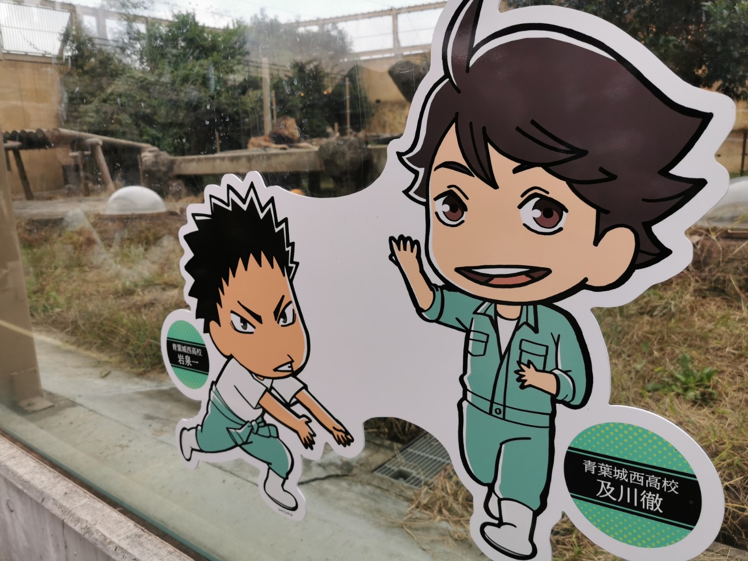 ア ト ラ ク シ ョ ン ｜ ハ イ ブ リ ッ ド-レ ジ